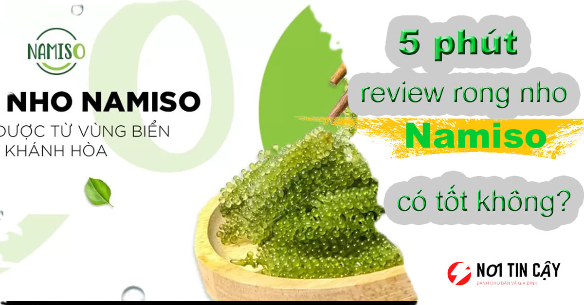 review rong nho Namiso